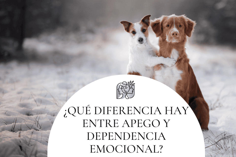 diferencia entre apego y dependencia emocional