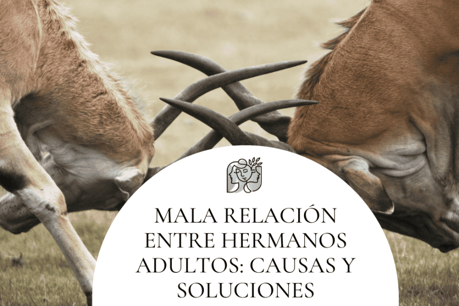 mala relación entre hermanos adultos