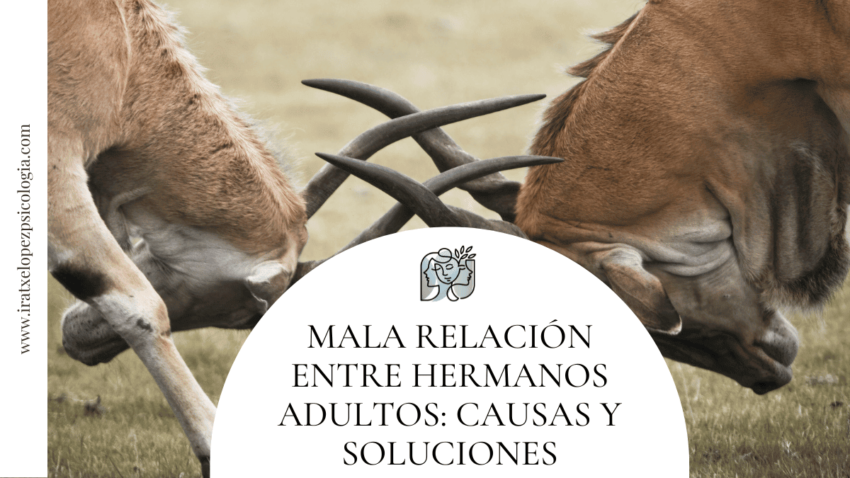 mala relación entre hermanos adultos