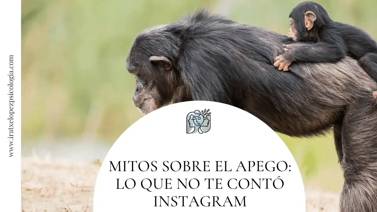 mitos sobre el apego infografia