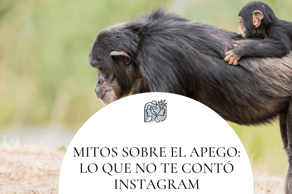 mitos sobre el apego